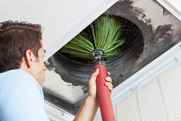 Best Local Air Duct Cleaning Services  in Covington, WA